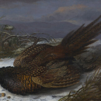 Thomas Greenslade Targett (1829-1891) - Pheasant in the Snow