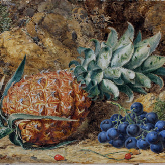 Thomas Frederick Collier (1823-1885) - 'Still Life of Pineapple and Grapes'