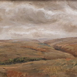 Ann le Bas - Exmoor Moorland Landscape oil painting