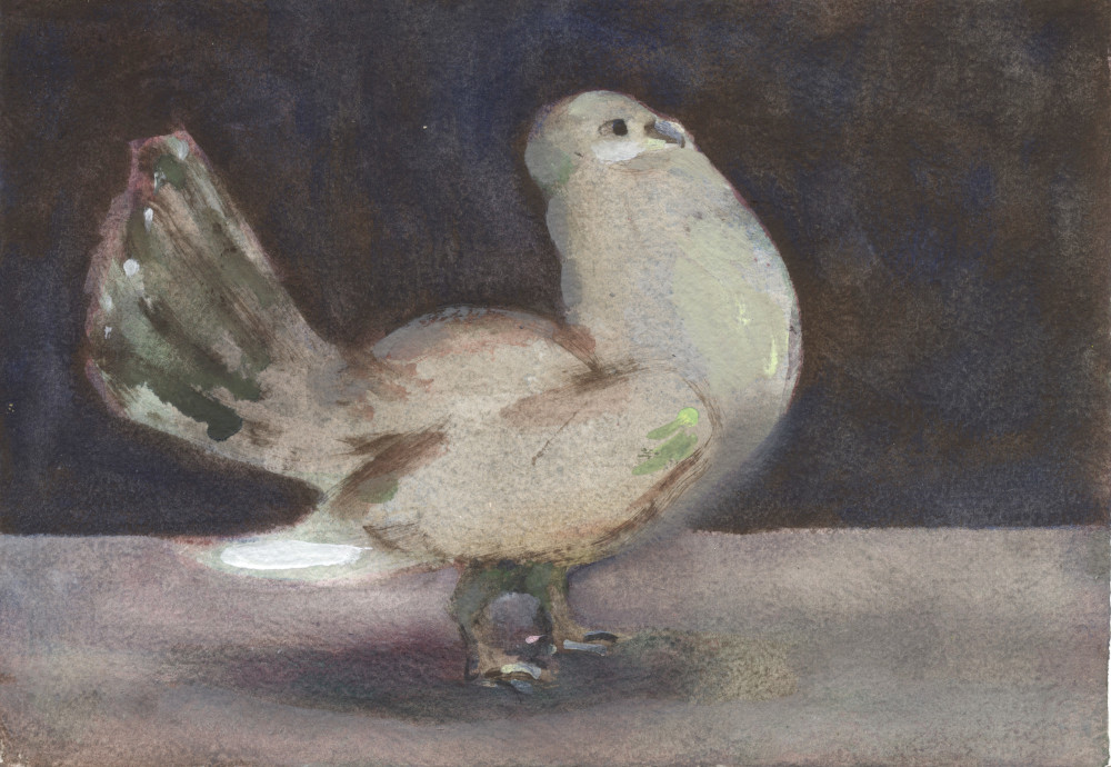 Charles Williams PRWS, NEAC (b.1965) - 'Preening Pigeon', watercolour.