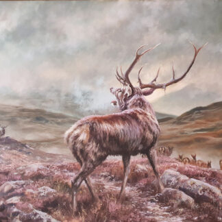 Mick Cawston (1959-2006) - 'Roaring Stag', oil on canvas.