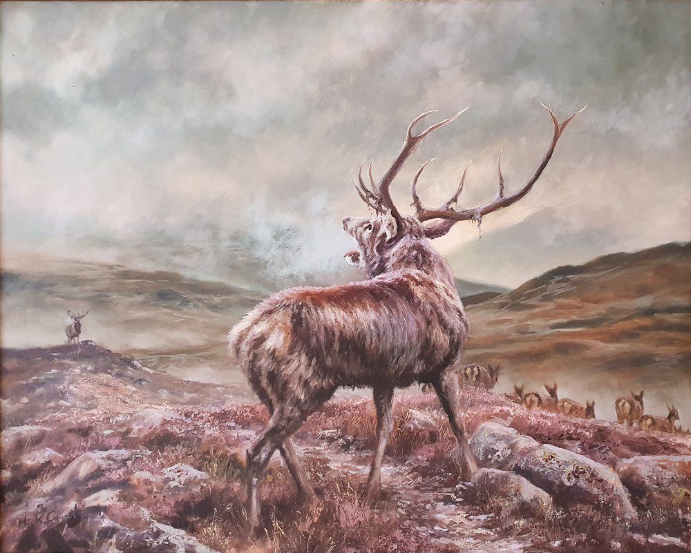 Mick Cawston (1959-2006) - 'Roaring Stag', oil on canvas.