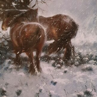 Mick Cawston - Exmoor Ponies in the Snow, oil on canvas.