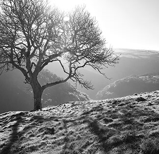 Black and white photograph by Mark Asprey