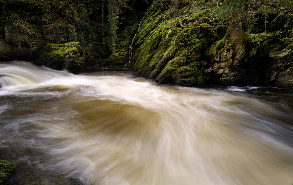 Photograph of Ash Pool by Mark Asprey.