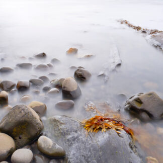 Photograph of pebbles on a beach at Kimmeridge, Dorset by Mark Asprey.