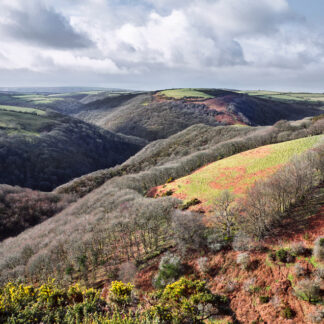 Photograph of the Lyn Valley, Exmoor by Mark Asprey.