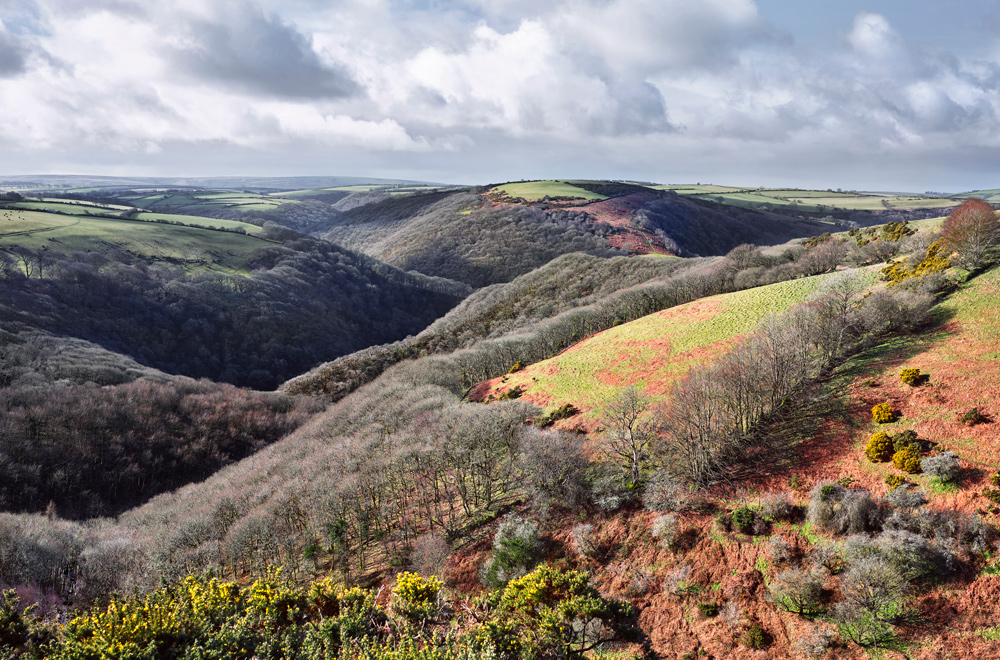 Photograph of the Lyn Valley, Exmoor by Mark Asprey.