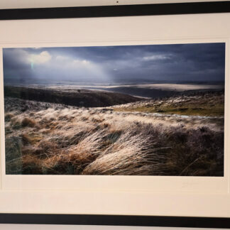 Mark Asprey framed photograph of Frozen Rain on Exmoor