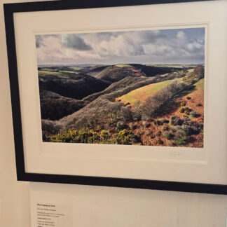 Framed photograph of the Lyn Valley, Exmoor by Mark Asprey.
