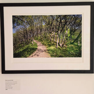 Photograph by Mark Asprey showing the footpath from Watersmeet to Countisbury in the Exmoor National Park.
