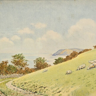 Watercolour by Hope Bourne of Broomstreet Farm