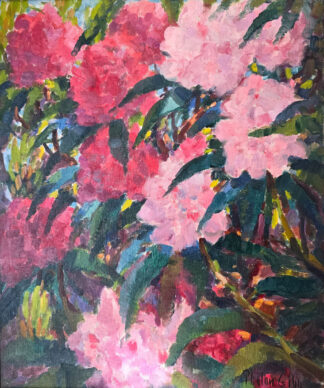 Harry Phelan Gibb (1870-1948) - Rhododendrons