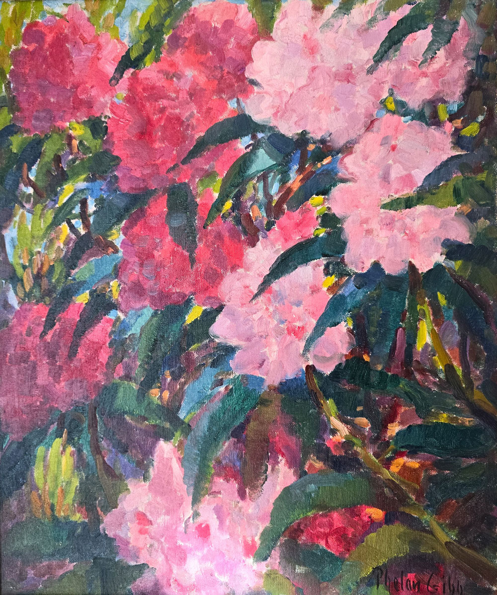 Harry Phelan Gibb (1870-1948) - Rhododendrons