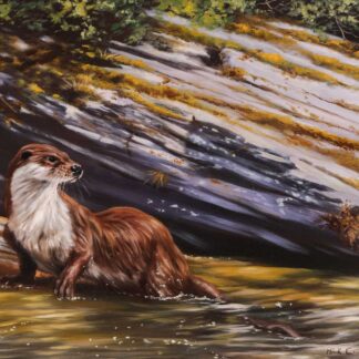 Mick Cawston oil painting of an otter on a river bank