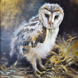 Mick Cawston oil painting of a barn owl