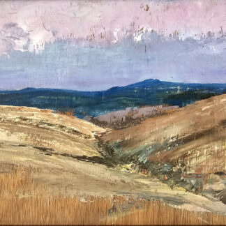 Murray Hammick oil painting of an Exmoor landscape