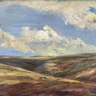 Murray Hammick oil painting depicting a moorlan landscape, near Withypool, Exmoor