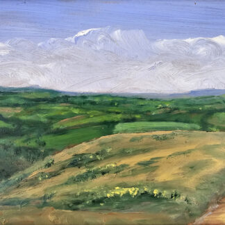 Murray Hammick oil painting depicting an Exmoor landscape