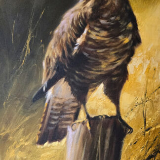 Original oil painting on canvas of a buzzard by Mick Cawston, depicting a brown buzzard perched on a fence post in a golden rural landscape