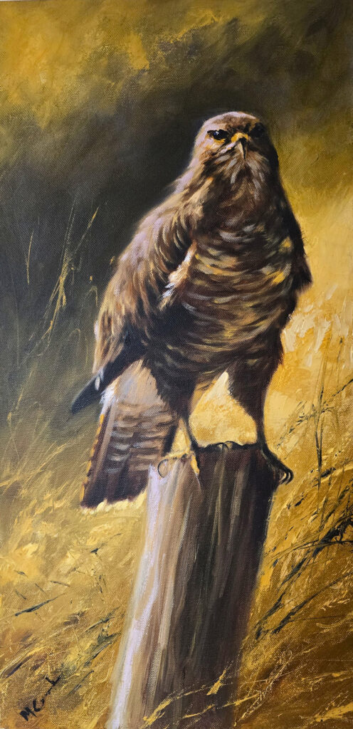 Original oil painting on canvas of a buzzard by Mick Cawston, depicting a brown buzzard perched on a fence post in a golden rural landscape
