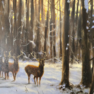 Original oil painting by Mick Cawston depicting red deer standing in a snowy woodland glen, with warm golden sunrise light filtering through tall trees and illuminating the winter forest scene.