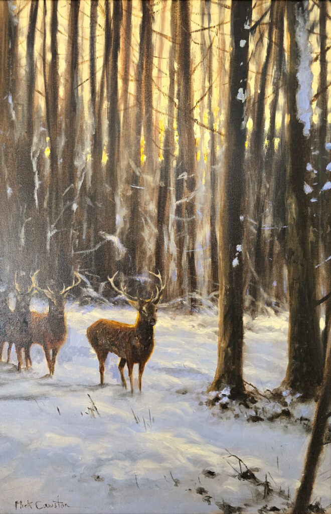 Original oil painting by Mick Cawston depicting red deer standing in a snowy woodland glen, with warm golden sunrise light filtering through tall trees and illuminating the winter forest scene.