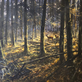 Oil painting by Mick Cawston depicting deer in a woodland setting