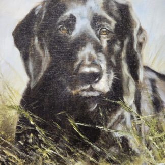 Mick Cawston (1959-2006) - Black Labrador
