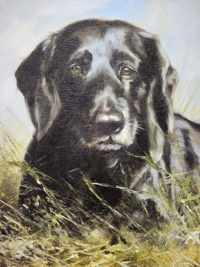 Mick Cawston (1959-2006) - Black Labrador